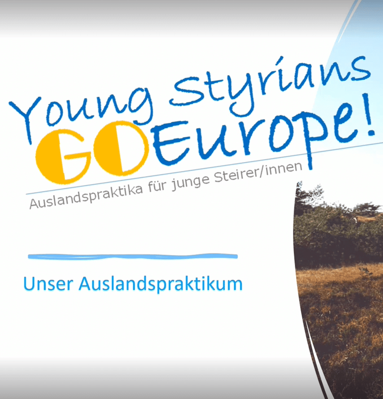 Young Styrian GO Europe - Article Box